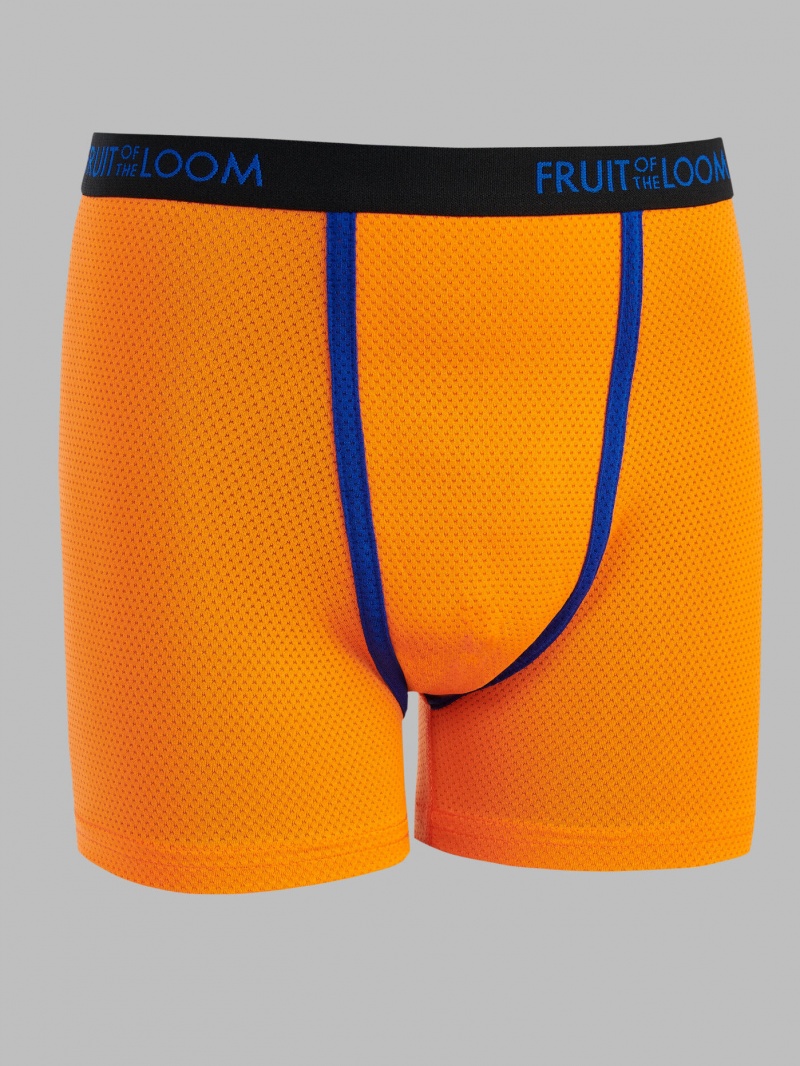 Boys' Fruit Of The Loom Breathable Micro-Mesh, 5 Pack Boxer Briefs Assorted | FKM138726
