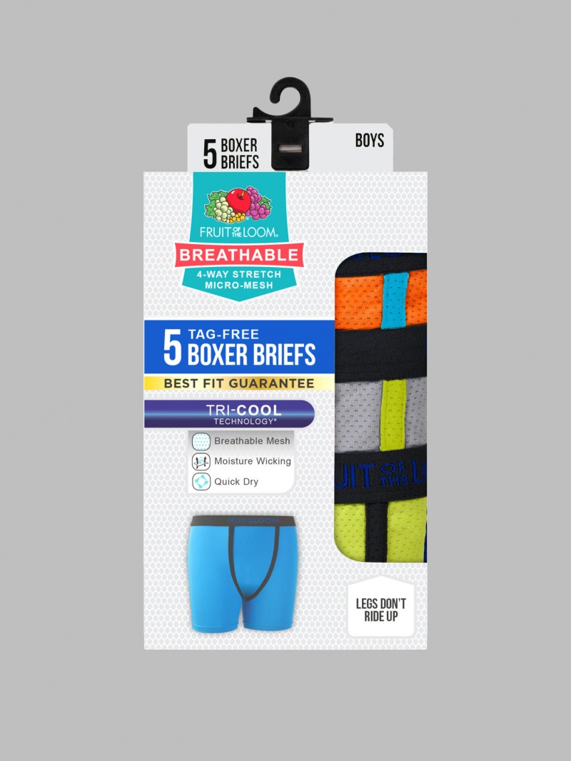 Boys' Fruit Of The Loom Breathable Micro-Mesh, 5 Pack Boxer Briefs Assorted | FKM138726