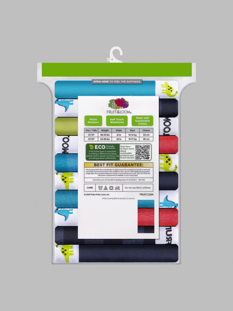 Boys' Fruit Of The Loom Toddler, 10 Pack Briefs Assorted | BSC937408