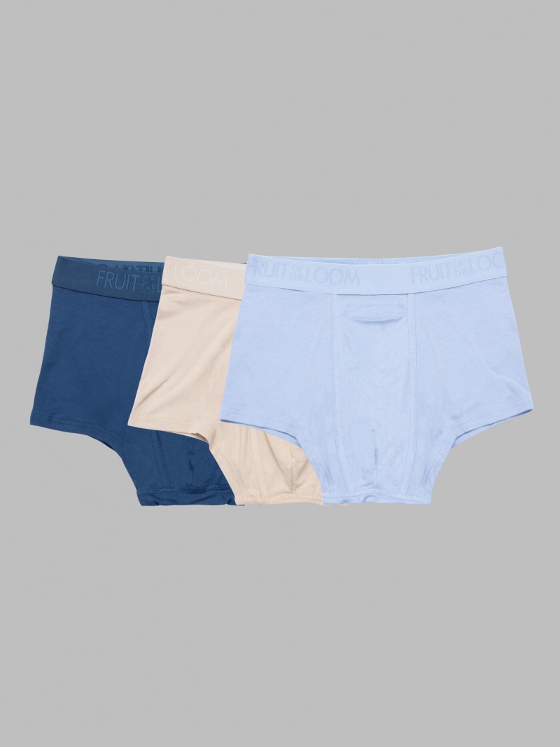 Men's Fruit Of The Loom Fruitful Threads™, 3 Pack Trunks Assorted | HYG461982